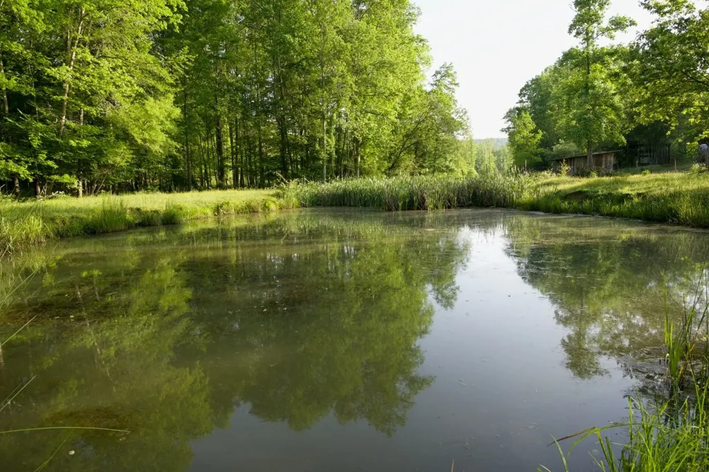 40.46ac Barker Cove Loop N Of Palmer TN 37365
