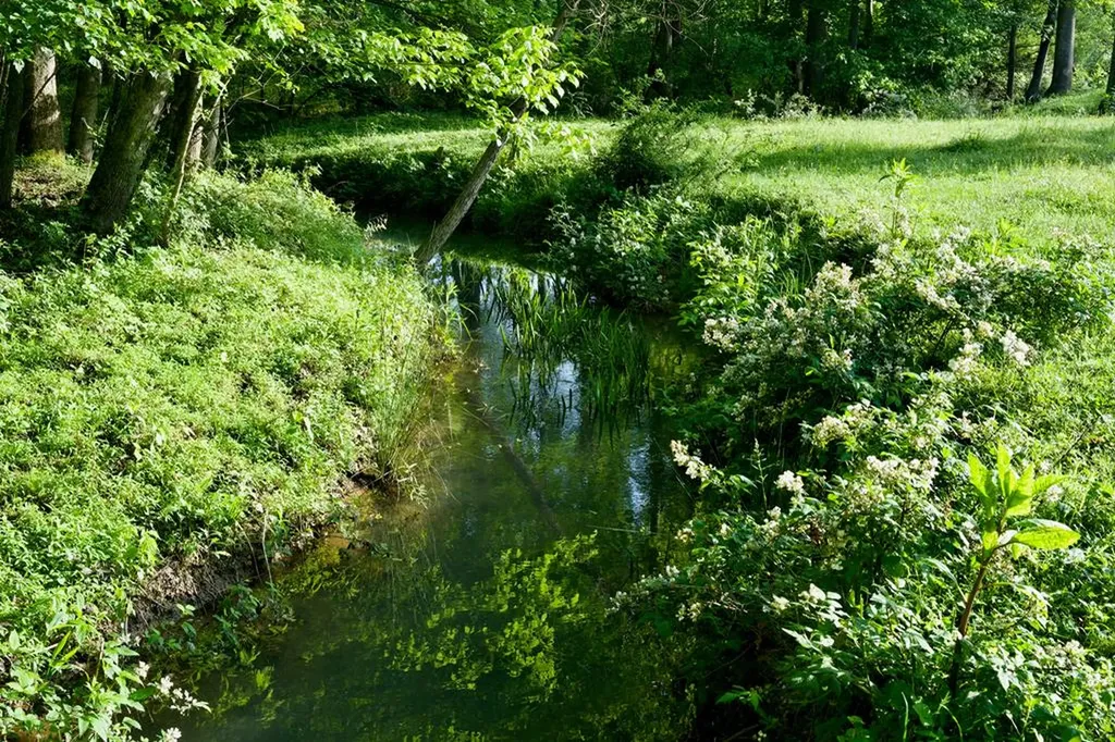 40.46ac Barker Cove Loop N Of Palmer TN 37365