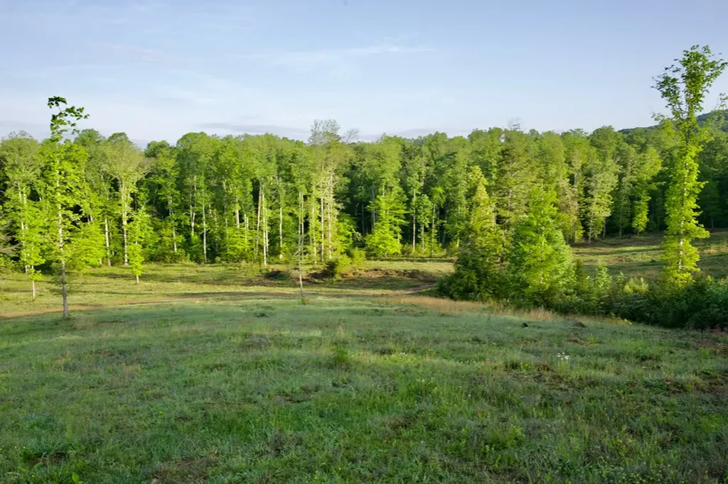 40.46ac Barker Cove Loop N Of Palmer TN 37365