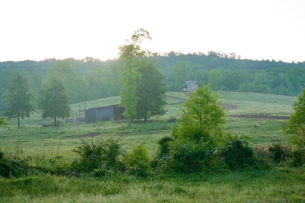 40.46ac Barker Cove Loop N Of Palmer TN 37365