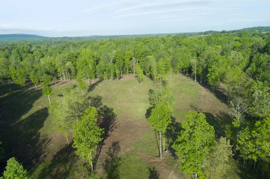 40.46ac Barker Cove Loop N Of Palmer TN 37365