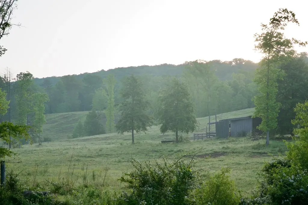 40.46ac Barker Cove Loop N Of Palmer TN 37365