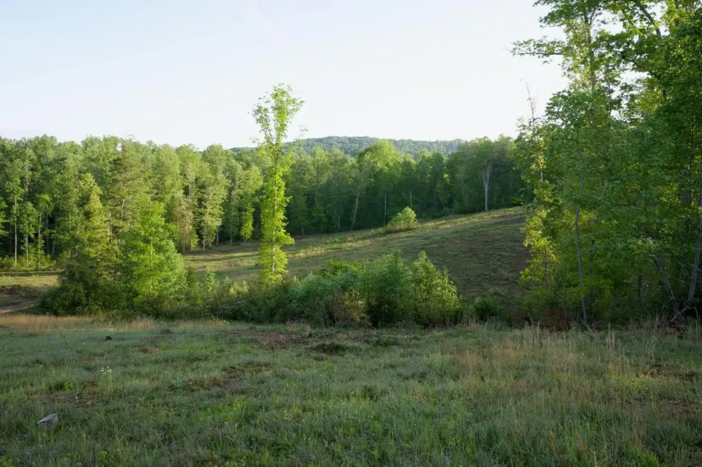 40.46ac Barker Cove Loop N Of Palmer TN 37365