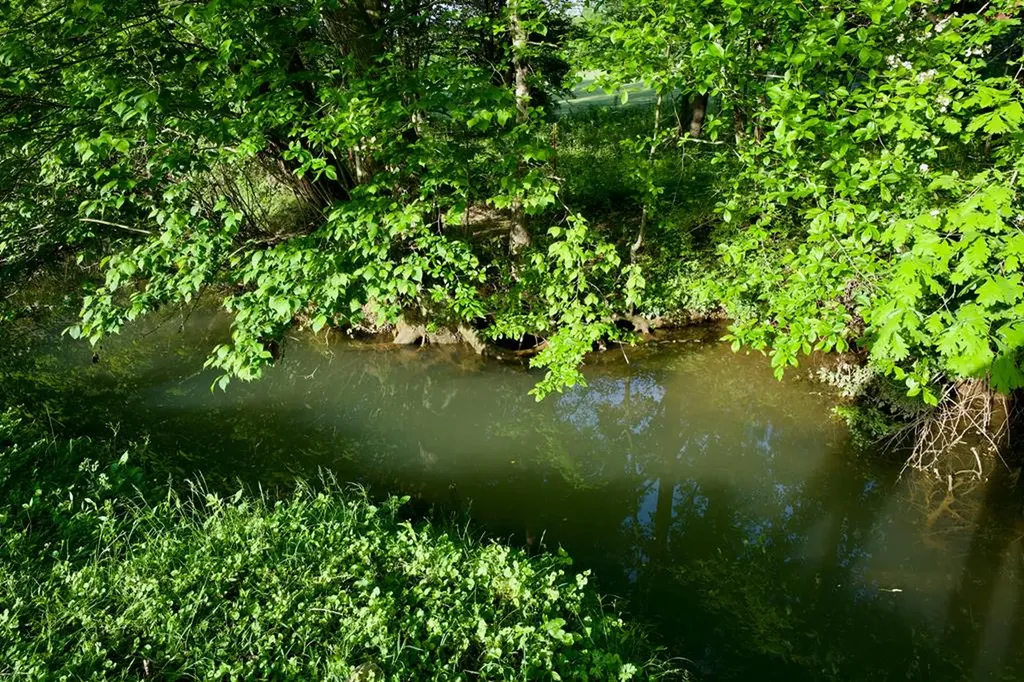 40.46ac Barker Cove Loop N Of Palmer TN 37365