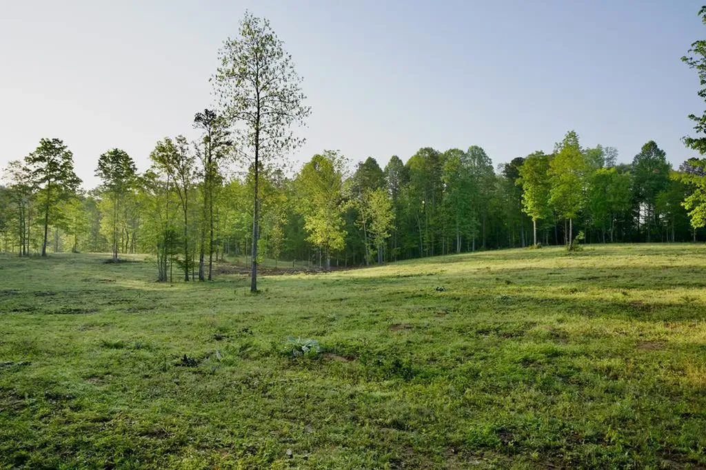 40.46ac Barker Cove Loop N Of Palmer TN 37365
