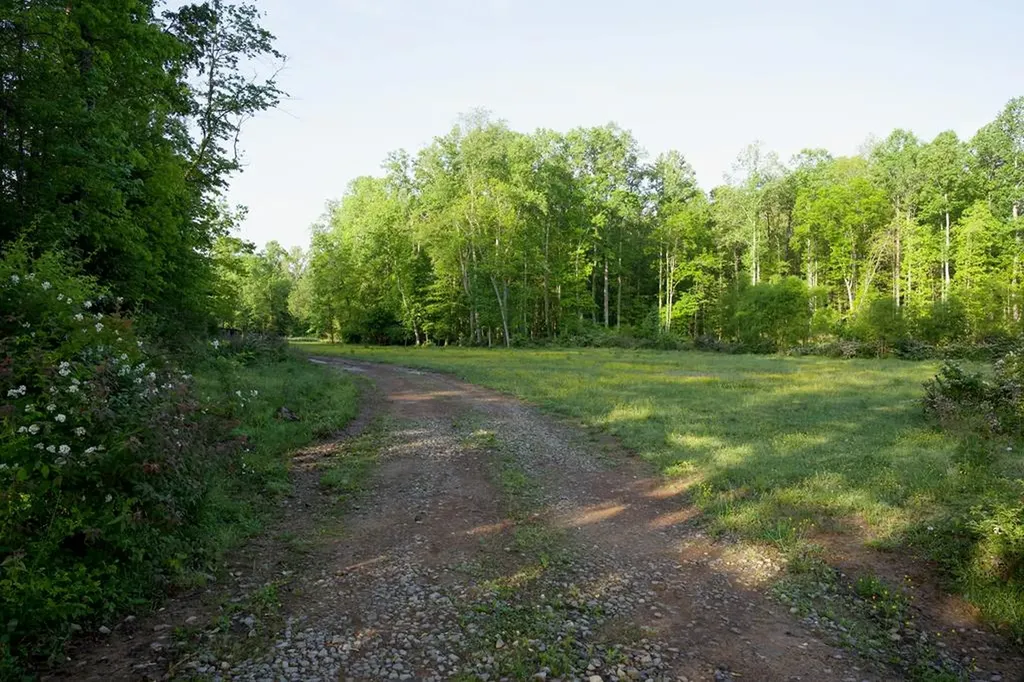 40.46ac Barker Cove Loop N Of Palmer TN 37365