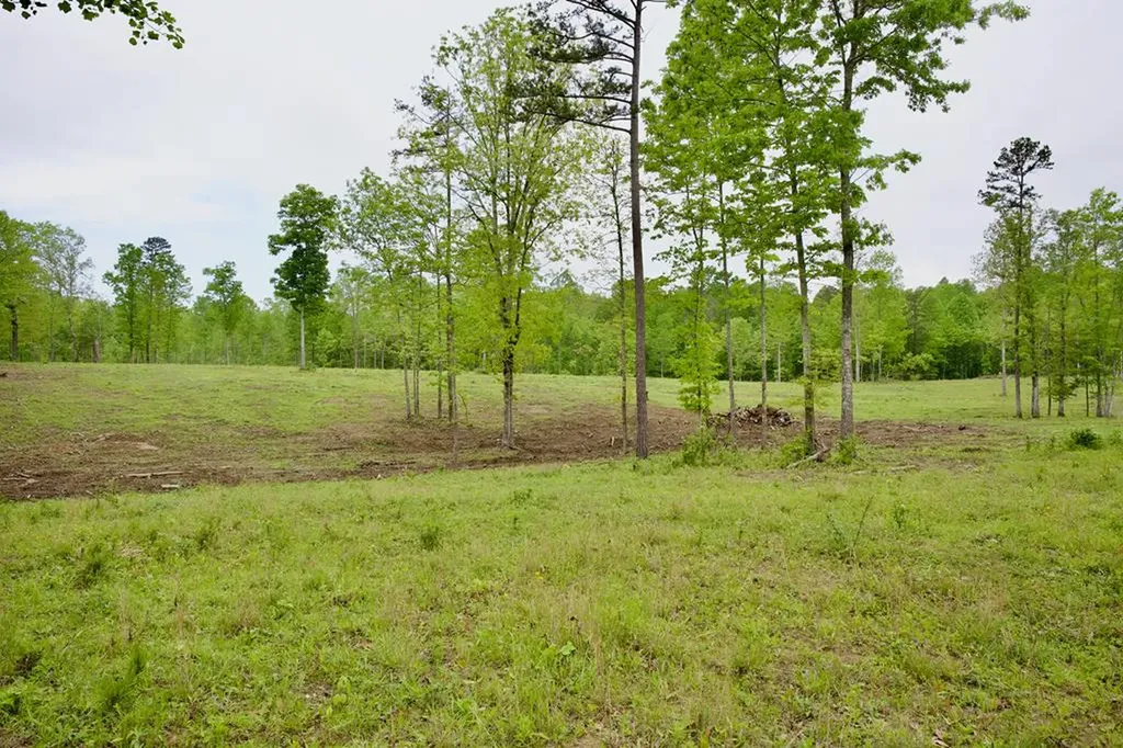40.46ac Barker Cove Loop N Of Palmer TN 37365