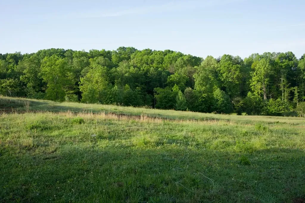 40.46ac Barker Cove Loop N Of Palmer TN 37365