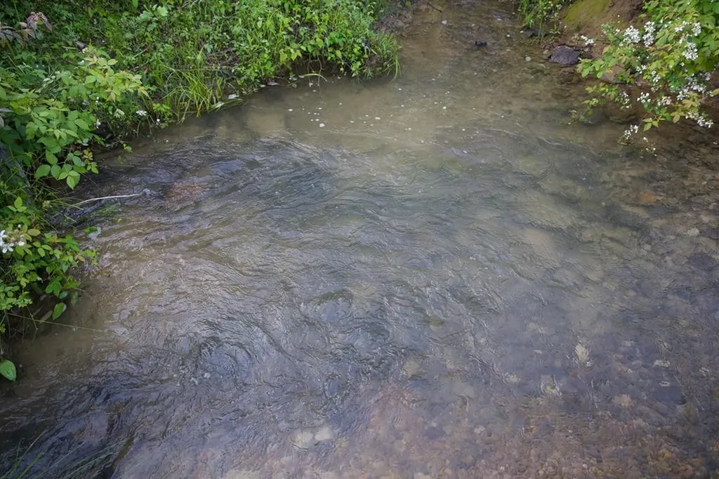 40.46ac Barker Cove Loop N Of Palmer TN 37365