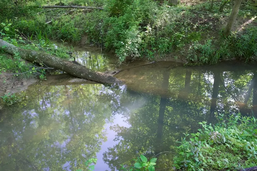 40.46ac Barker Cove Loop N Of Palmer TN 37365