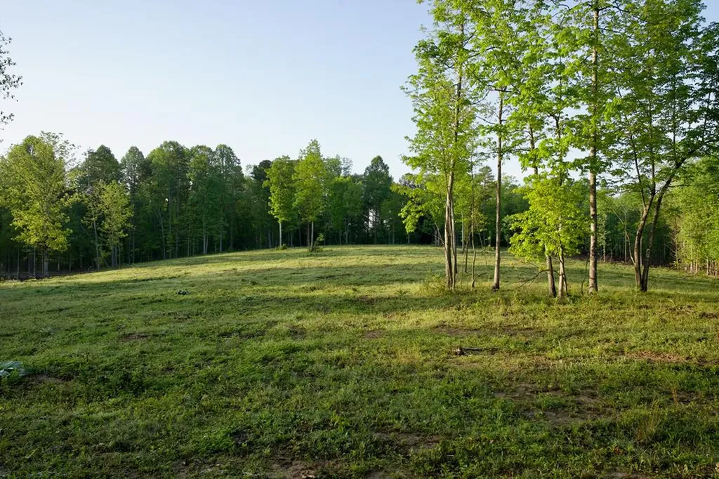 40.46ac Barker Cove Loop N Of Palmer TN 37365