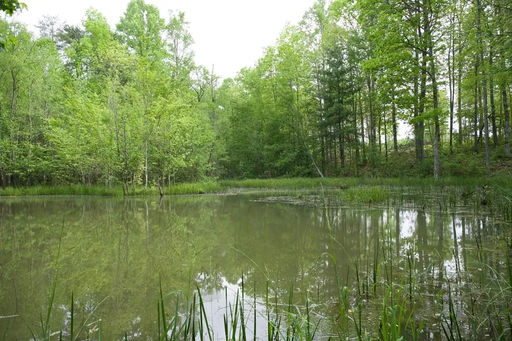 40.46ac Barker Cove Loop N Of Palmer TN 37365