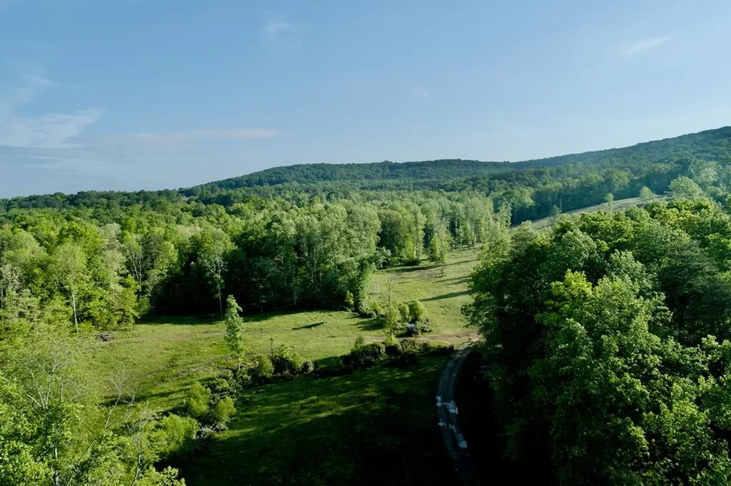 40.46ac Barker Cove Loop N Of Palmer TN 37365