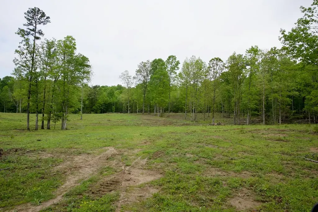 40.46ac Barker Cove Loop N Of Palmer TN 37365