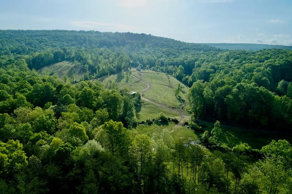 40.46ac Barker Cove Loop N Of Palmer TN 37365