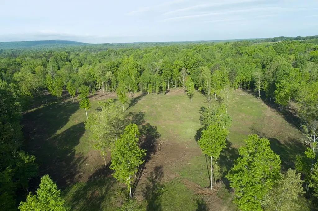 40.46ac Barker Cove Loop N Of Palmer TN 37365