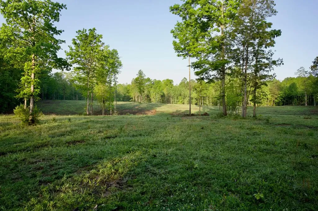 40.46ac Barker Cove Loop N Of Palmer TN 37365