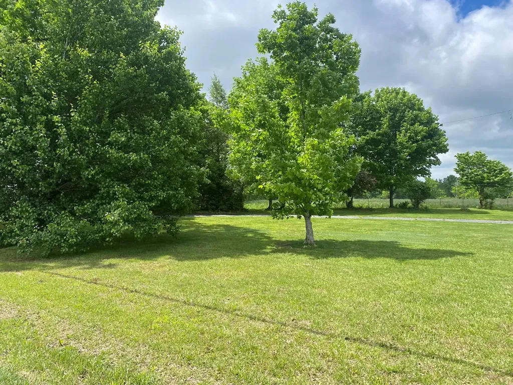 1039 Old Martha Washington Road Clarkrange TN 38553