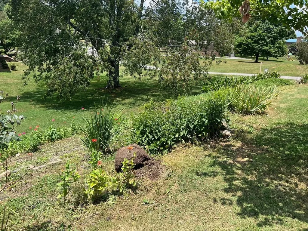 132 Crestview Mcminnville TN 37110