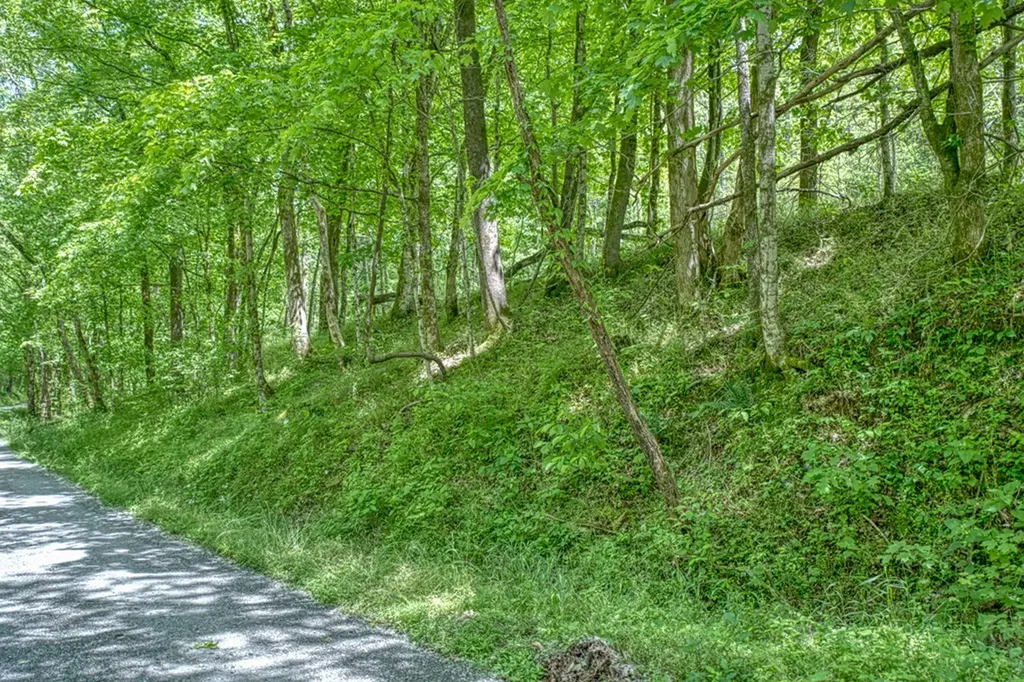 6.58 Sanders Lane Gainesboro TN 38562