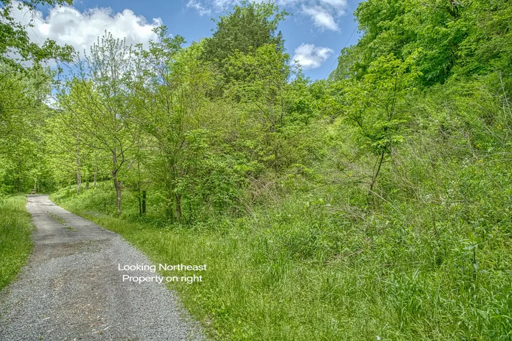 6.58 Sanders Lane Gainesboro TN 38562