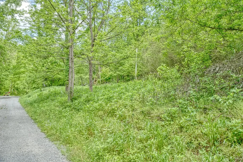 6.58 Sanders Lane Gainesboro TN 38562