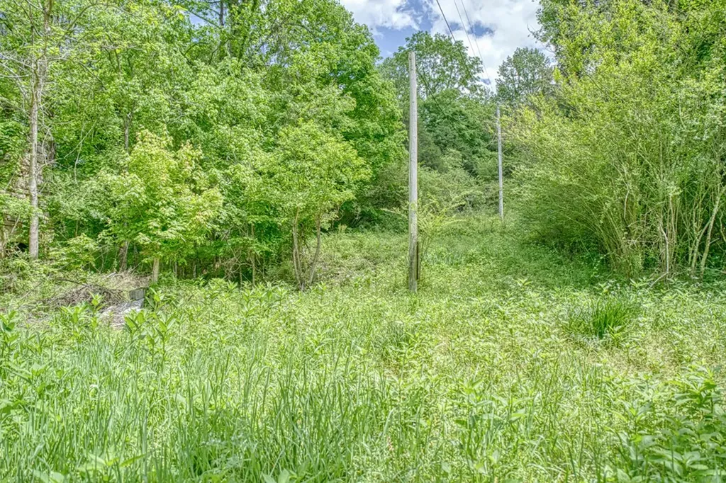 6.58 Sanders Lane Gainesboro TN 38562