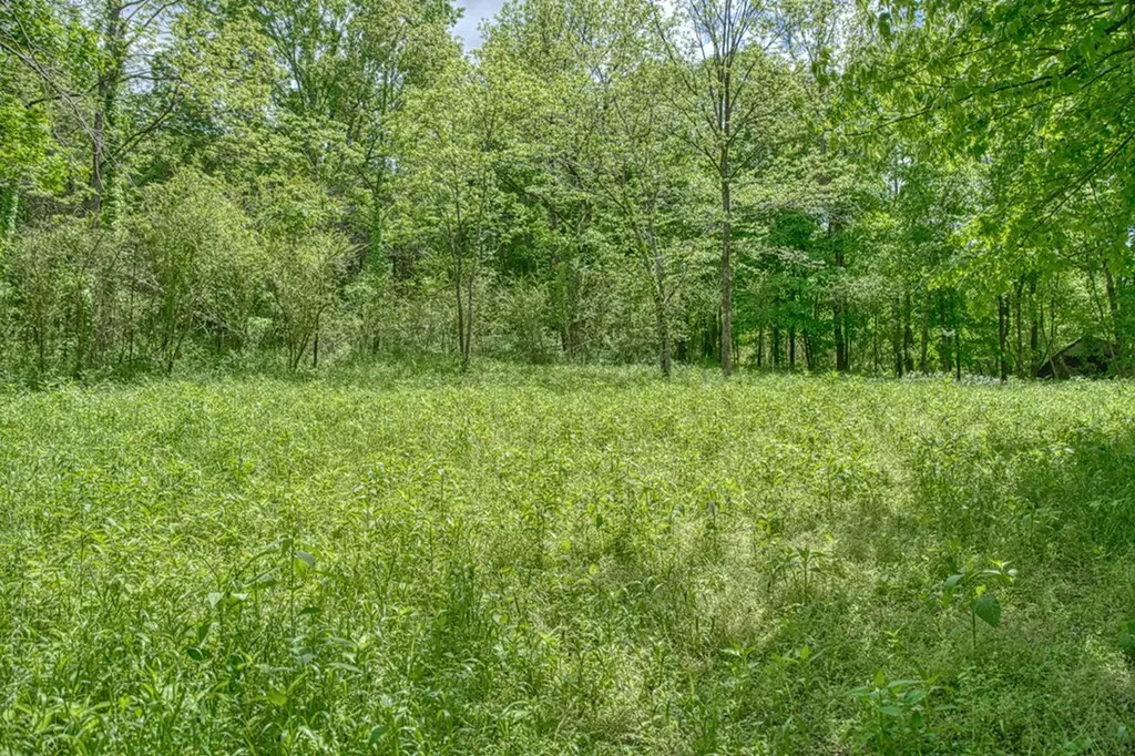 6.58 Sanders Lane Gainesboro TN 38562