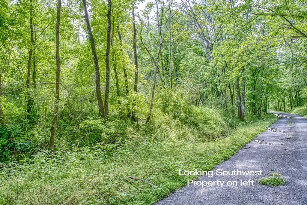 6.58 Sanders Lane Gainesboro TN 38562