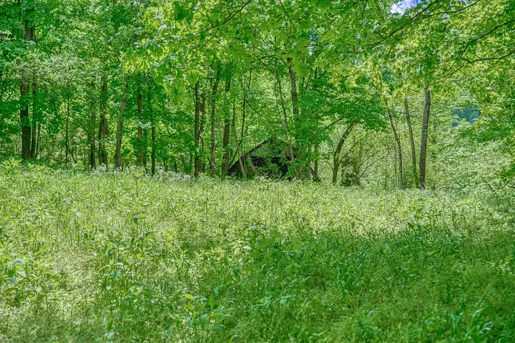 6.58 Sanders Lane Gainesboro TN 38562