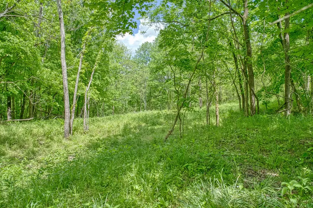 6.58 Sanders Lane Gainesboro TN 38562