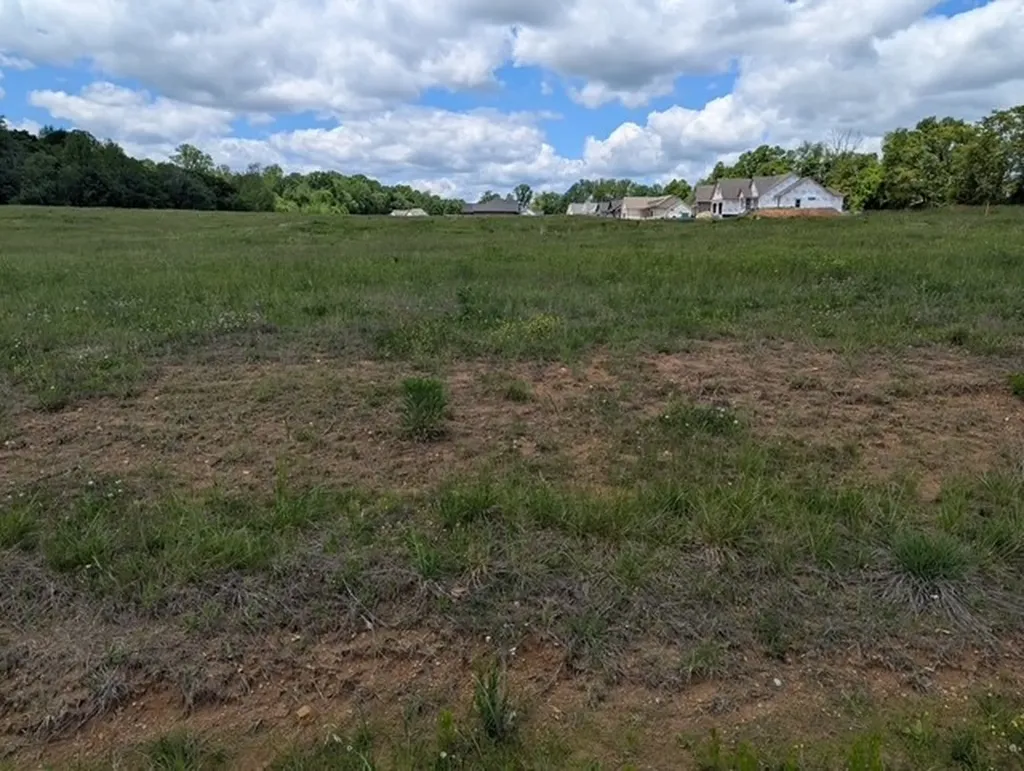 6950 Honeysuckle Trail Baxter TN 38544