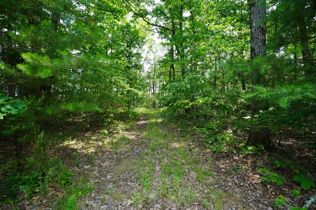 00 Gray Rock View Pikeville TN 37367