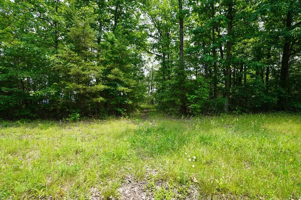 00 Gray Rock View Pikeville TN 37367