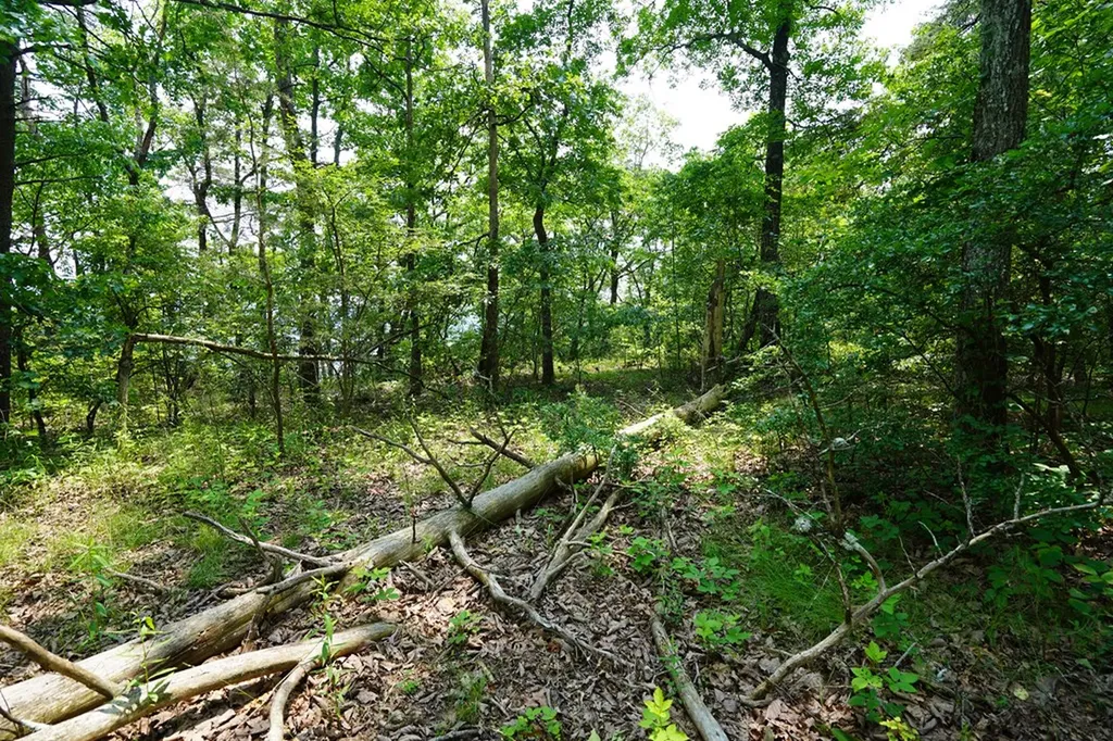 00 Gray Rock View Pikeville TN 37367