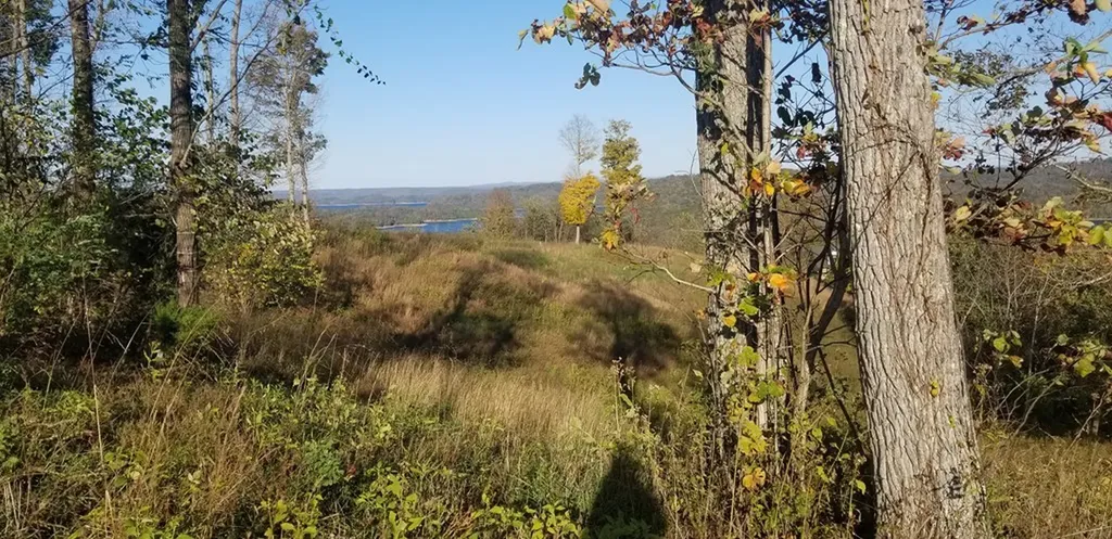 Lot 7c Swan Ridge Road Hilham TN 38568