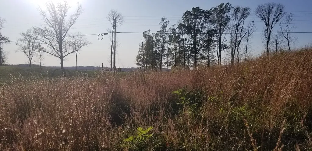 Lot 7c Swan Ridge Road Hilham TN 38568