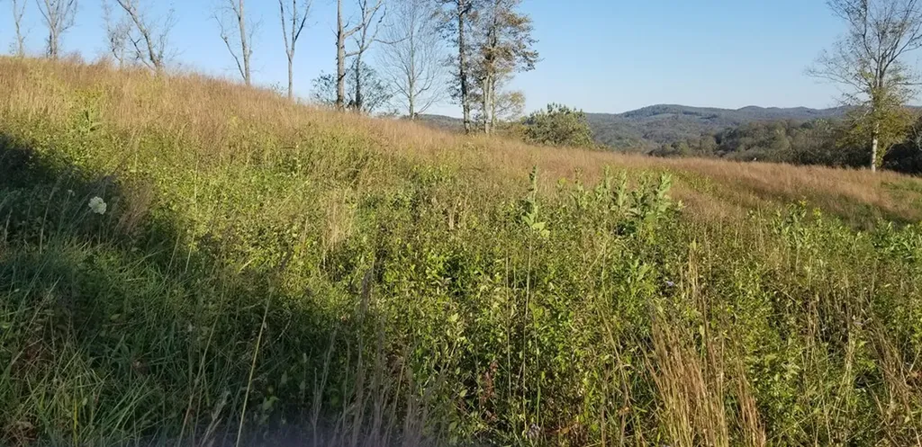 Lot 7c Swan Ridge Road Hilham TN 38568