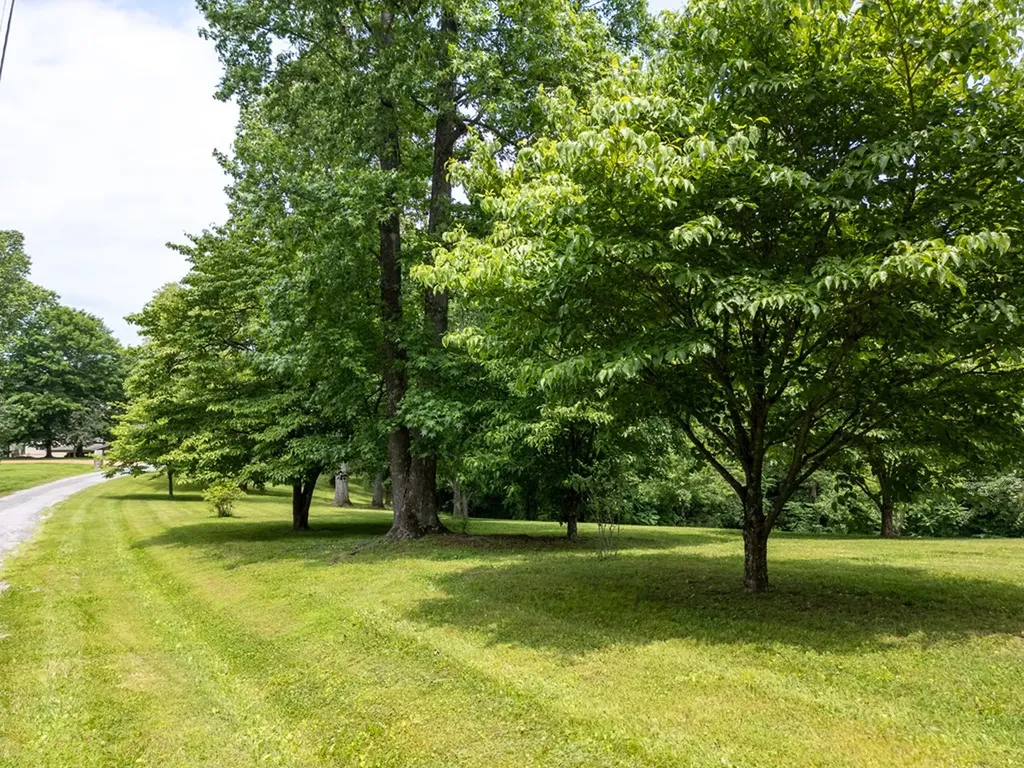 1 Acre Lafever Ridge Road Silver Point TN 38582