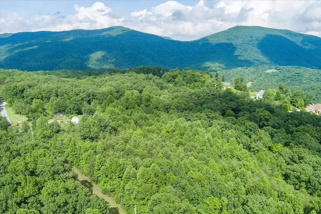 Lot 16 Browns Gap Road Crossville TN 38555