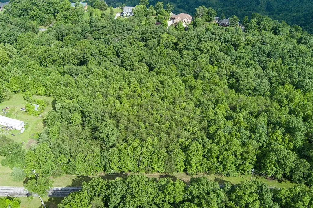 Lot 16 Browns Gap Road Crossville TN 38555