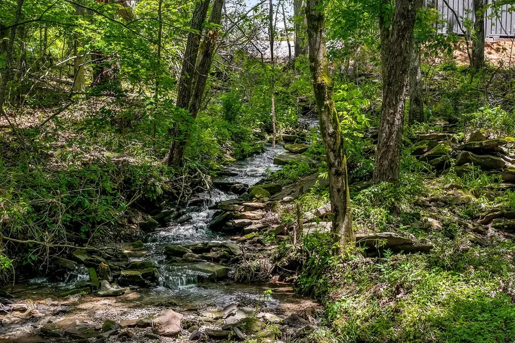 1048 Sitting Bull Point Crossville TN 38572