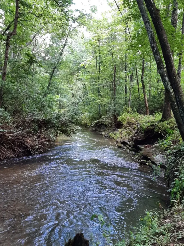 1048 Sitting Bull Point Crossville TN 38572