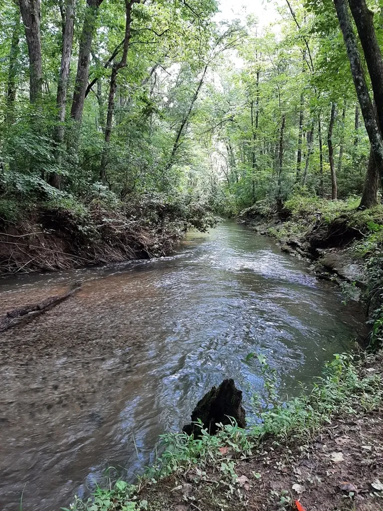 1048 Sitting Bull Point Crossville TN 38572