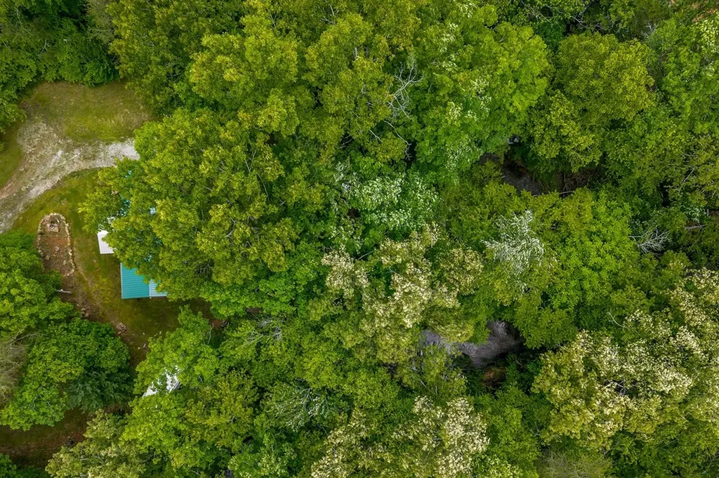 1048 Sitting Bull Point Crossville TN 38572