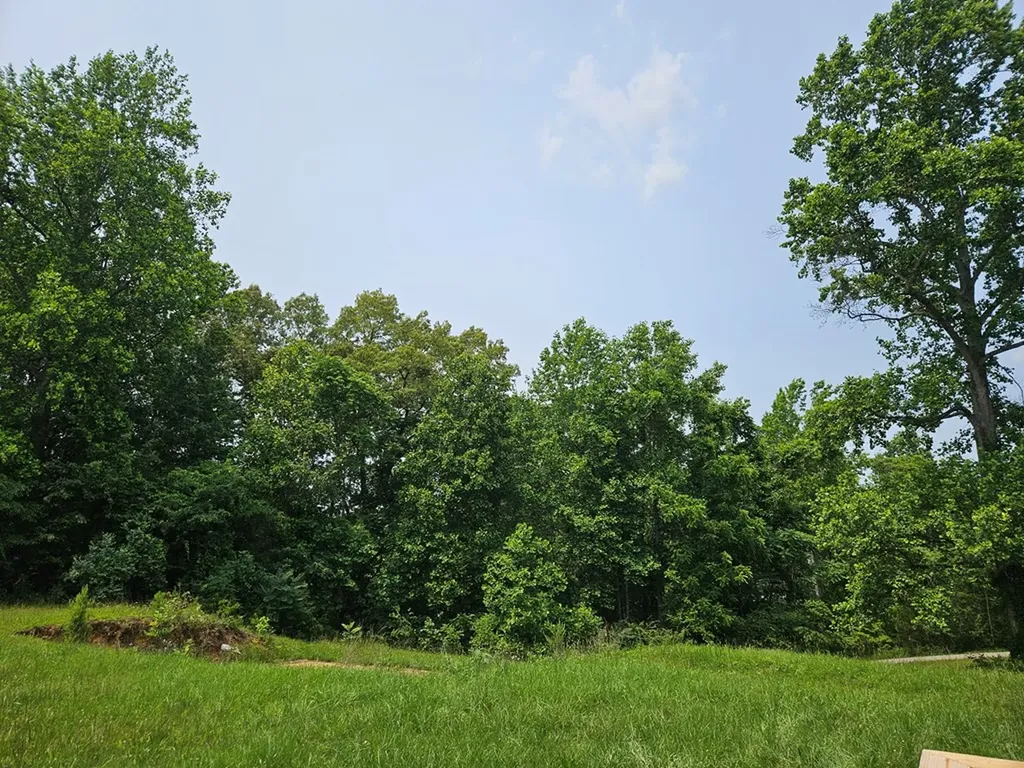 200 Caney Bend Road Doyle TN 38559