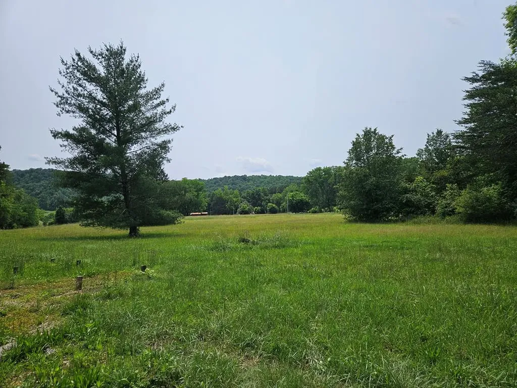 200 Caney Bend Road Doyle TN 38559