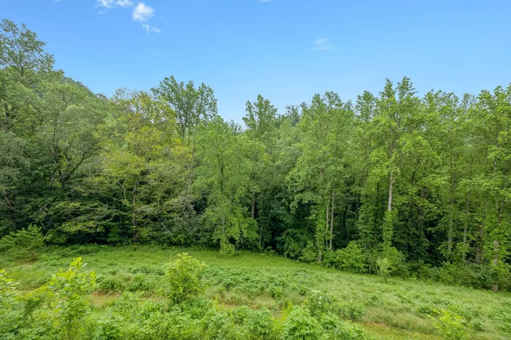 206 Mutt Goolsby Lane Granville TN 38564