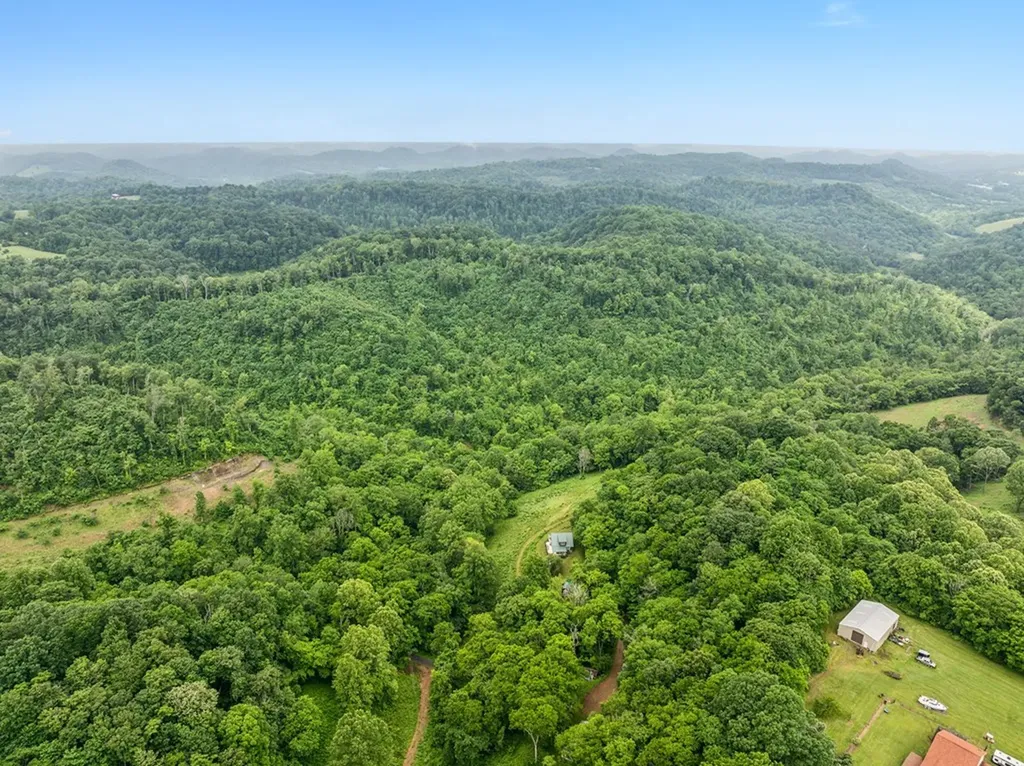 206 Mutt Goolsby Lane Granville TN 38564