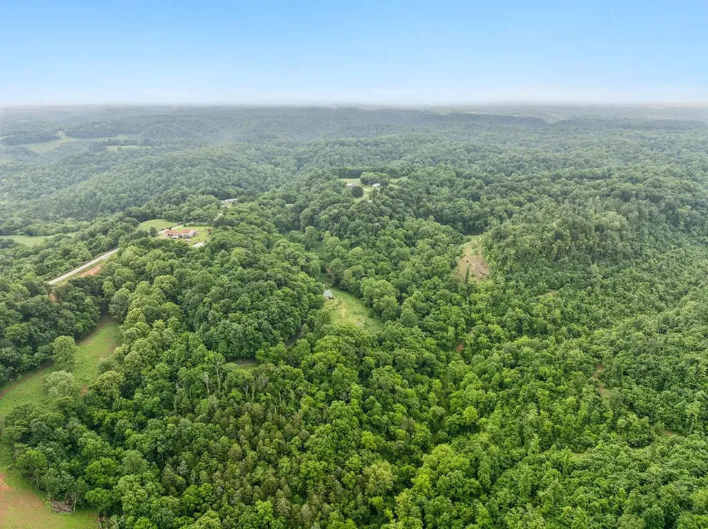 206 Mutt Goolsby Lane Granville TN 38564